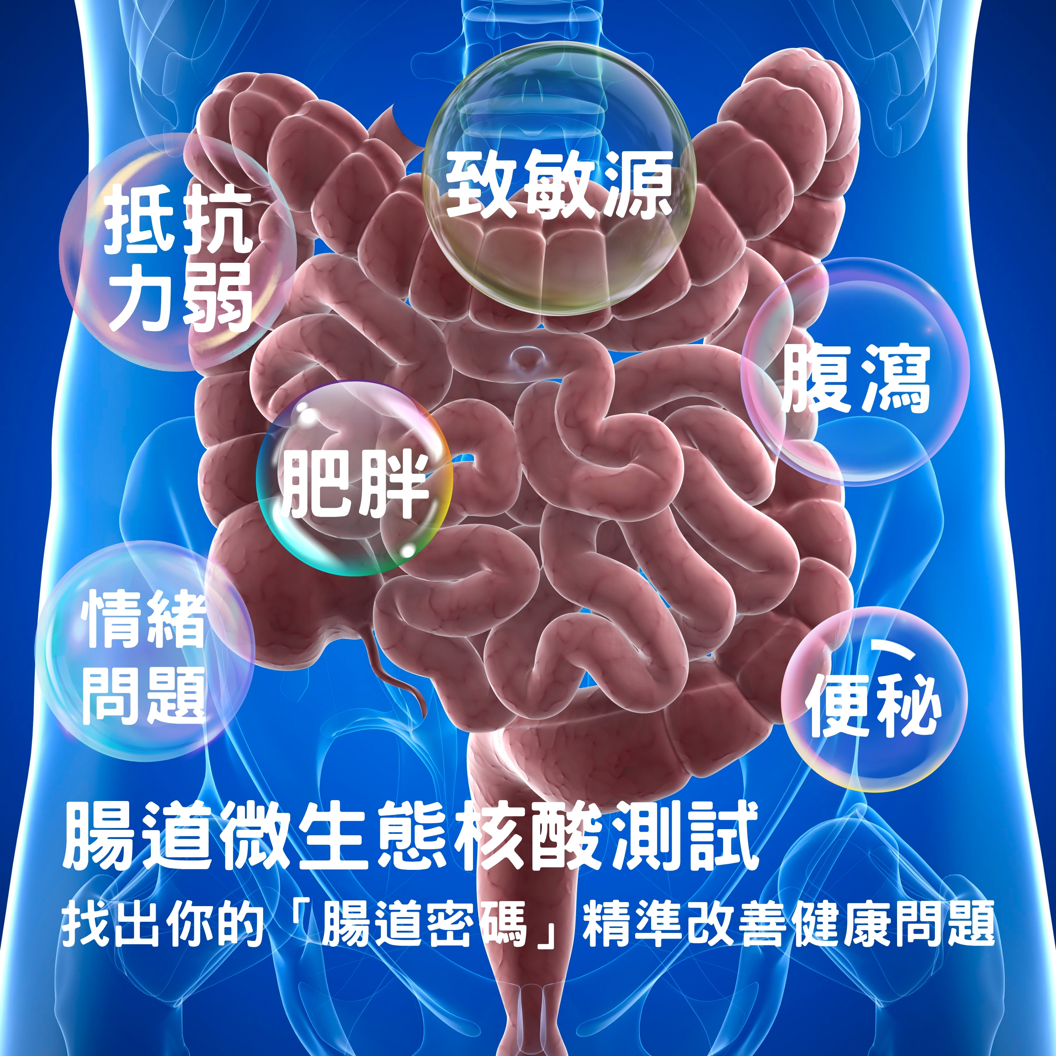 腸道微生態核酸測試 (檢測組合-涵蓋12種腸道益生菌)