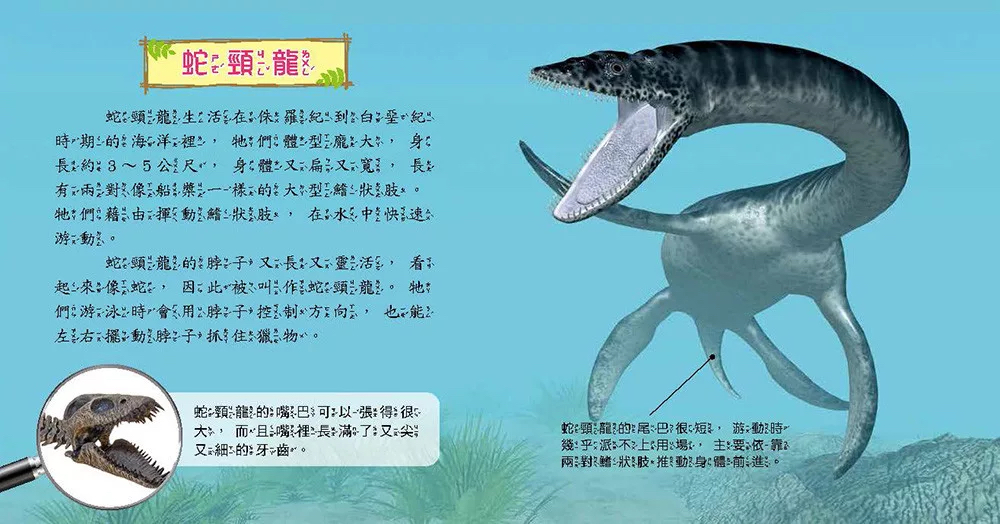 🔸預購貨品🔸史前動物小百科