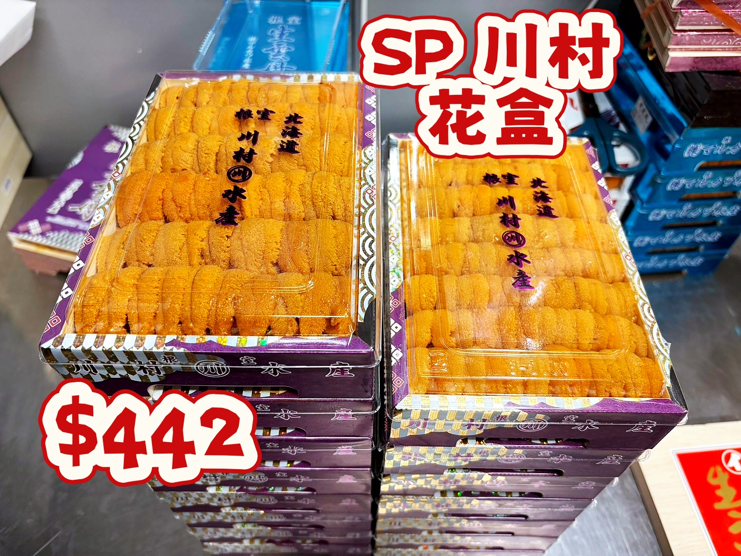 多款日本海膽  4月10日下午2時到貨