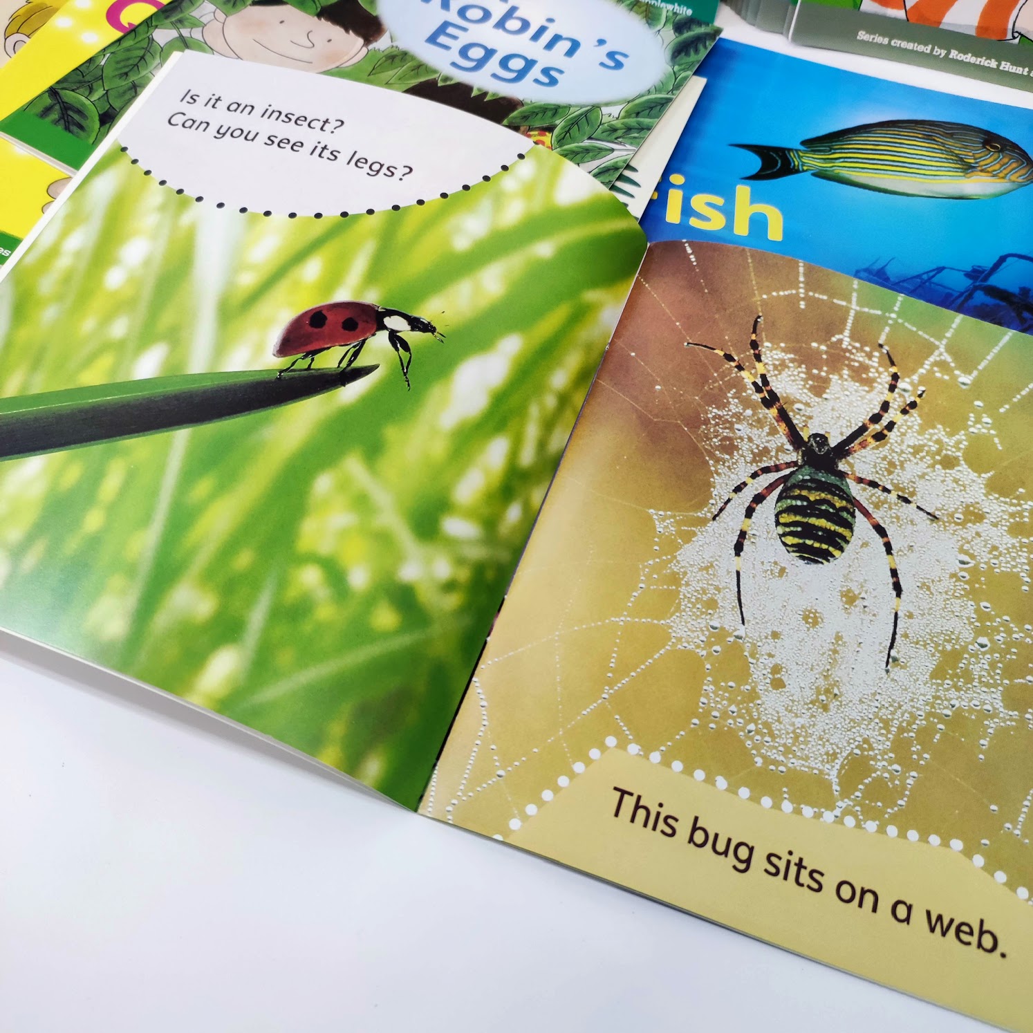Oxford reading tree phonics (48 books)  | Floppy’s Phonics Level 1 and 2 | C59