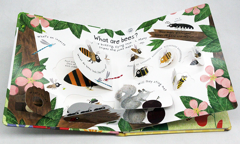 Usborne First Questions and Answers系列翻翻書 Why Do We Need Bees 為什麼需要蜜蜂