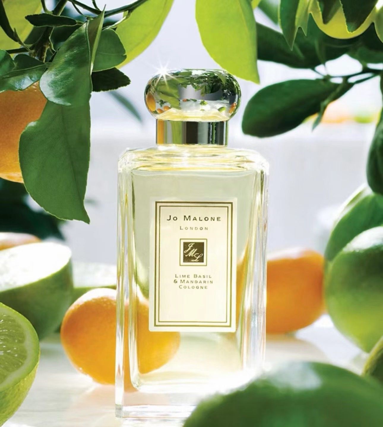 Jo Malone 青檸羅勒與柑橘 100ml 🍋