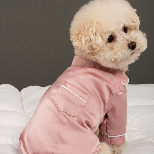 *SuperPet🇰🇷狗狗高級絲綢風睡衣