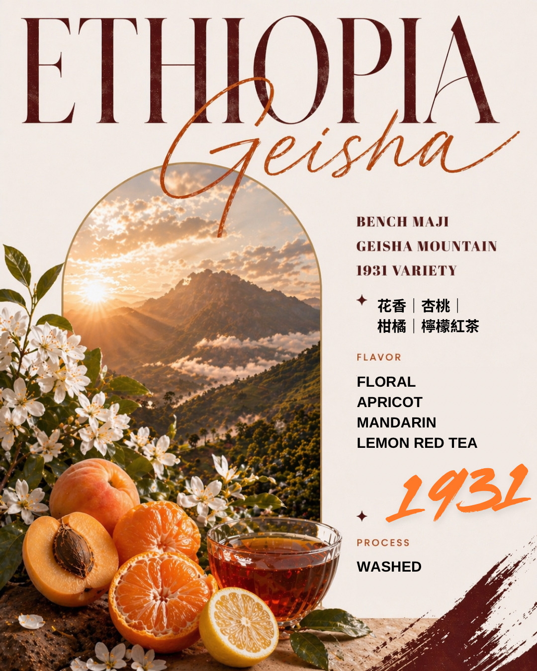 【衣索比亞Ethiopia】Bench Maji Geisha Mountain 1931 Geisha