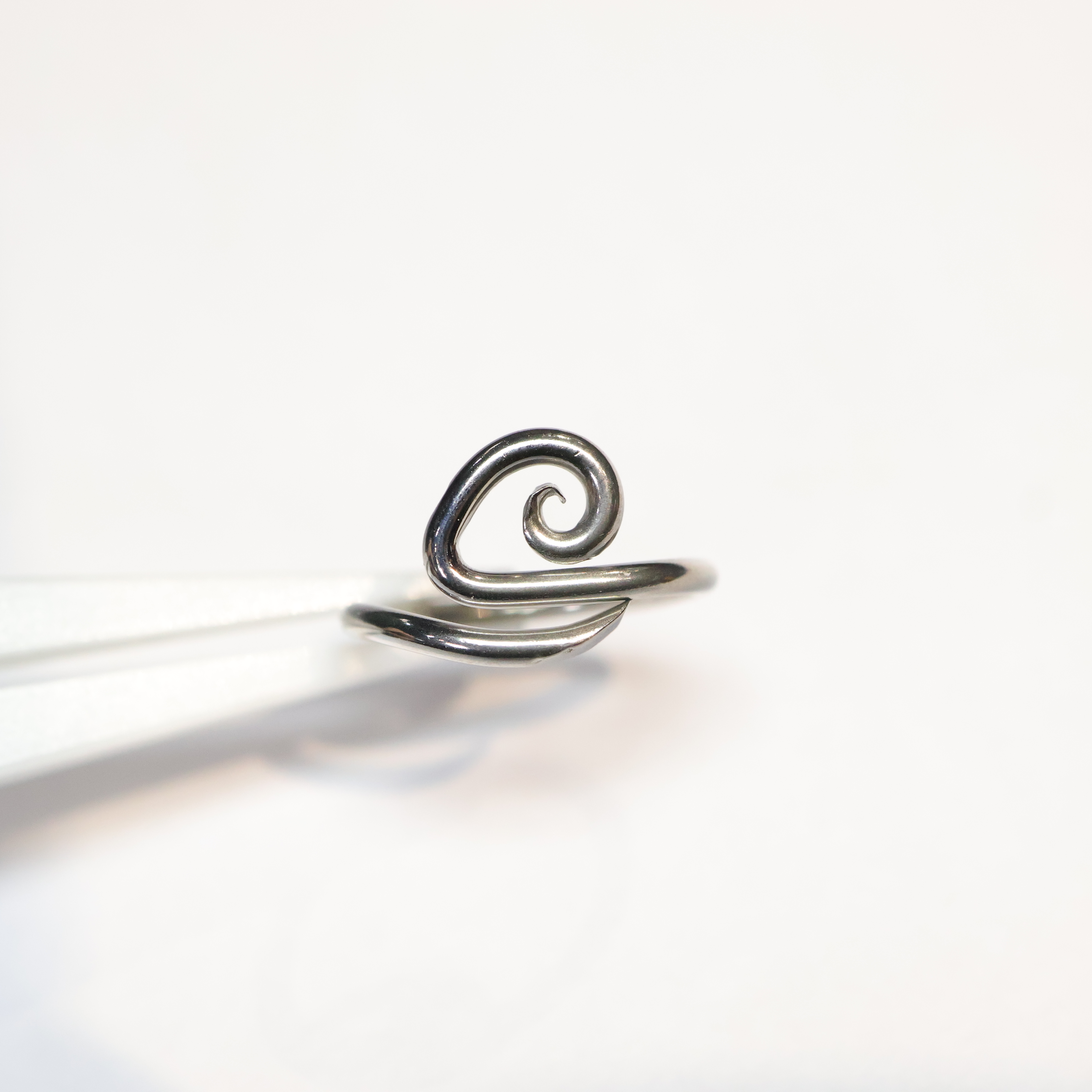 Procyon Overlap 	(Conch & Helix)