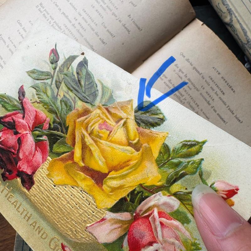 Antique Early 1900s Postcard -Rose Basket with Golden Foil (MT2305-1)
