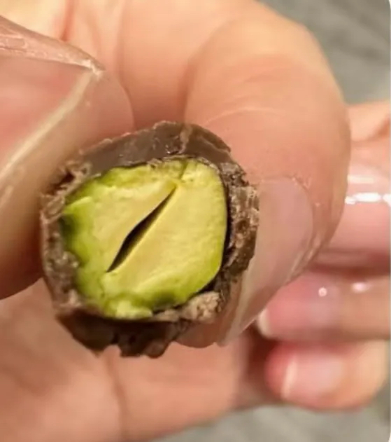 美國直送 現貨 Trader Joe's  黑開心果朱古力 170g