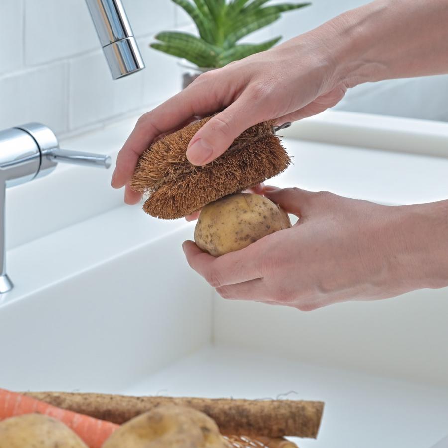 🔥🔥【日本製《龜之子束子》1號型小號棕色椰殼刷】