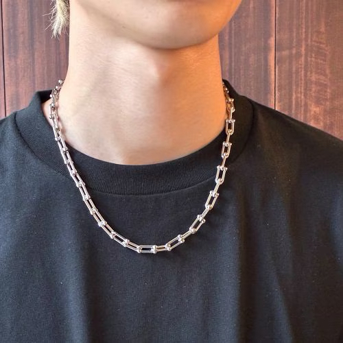 Mollive STAINLESS STEEL LINK NECKLACE Pre Order~