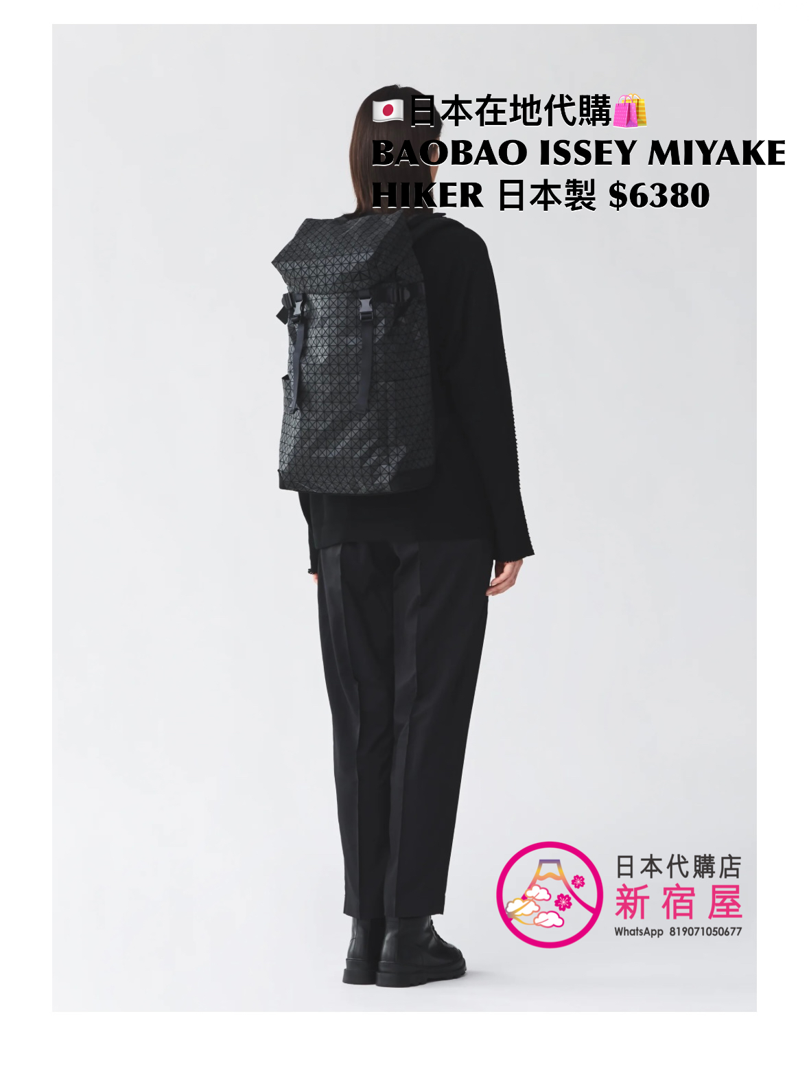 BAOBAO ISSEY MIYAKE HIKER