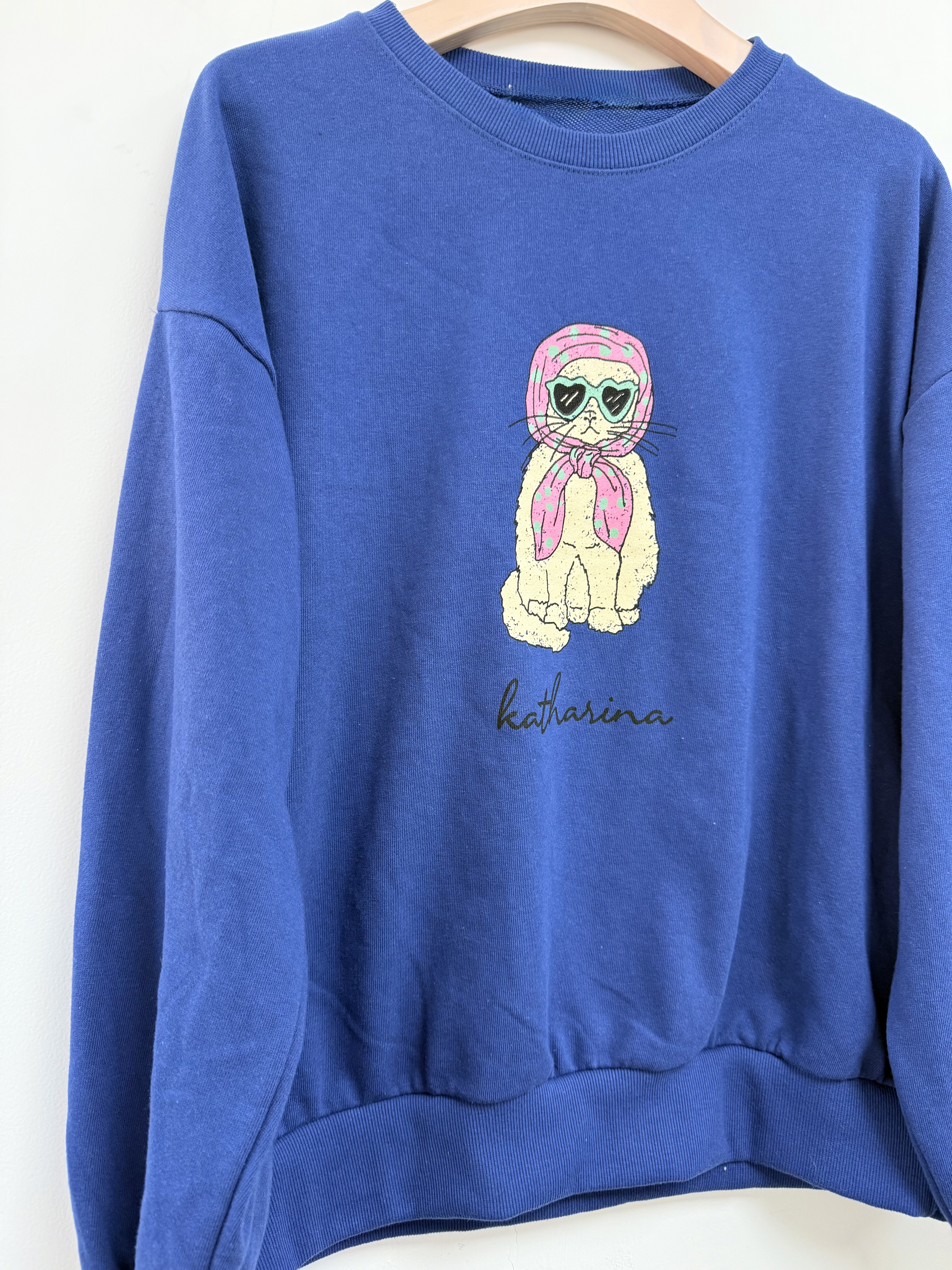 PH YE GD貓-貓迷衛衣