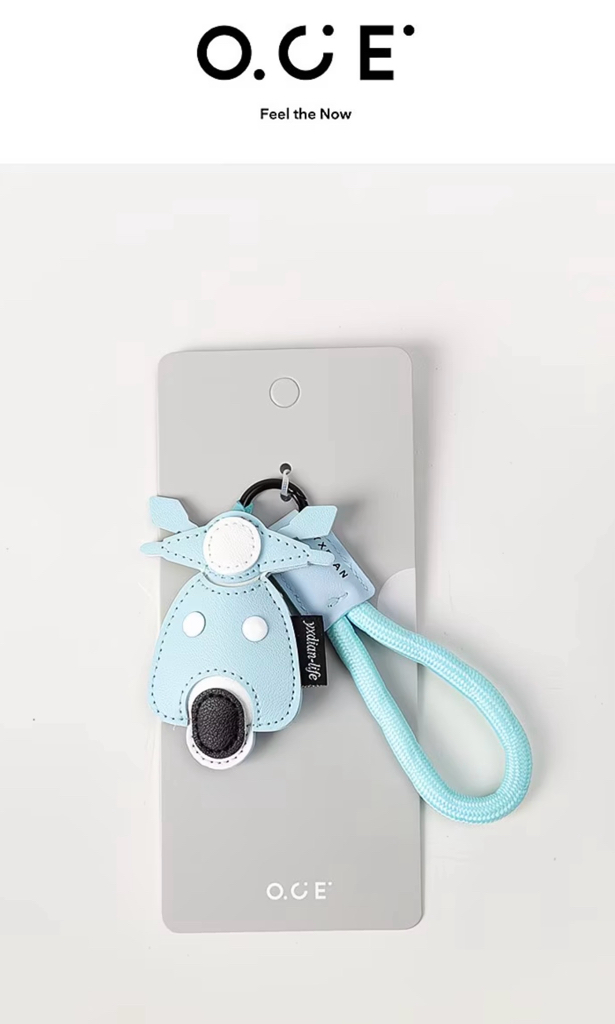 Stylish Hanging Bag Accessories 