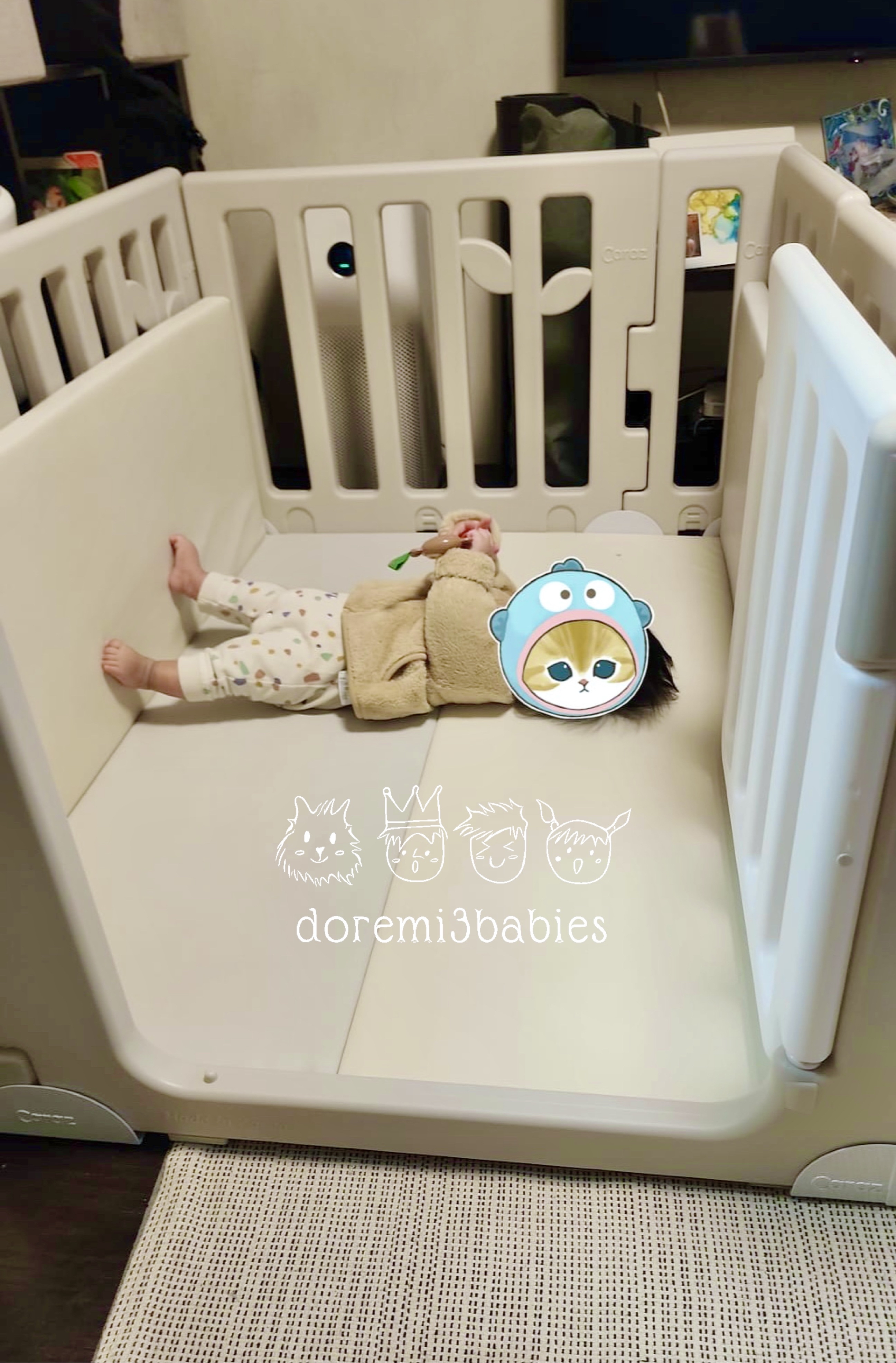 Caraz Leaf 圍欄地墊 80 X 120cm 套裝 [現貨！送直型卡扣4個]