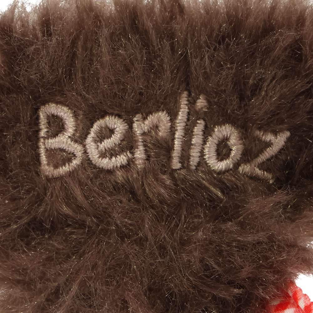 【預訂】TDR Berlioz 髮夾 2p