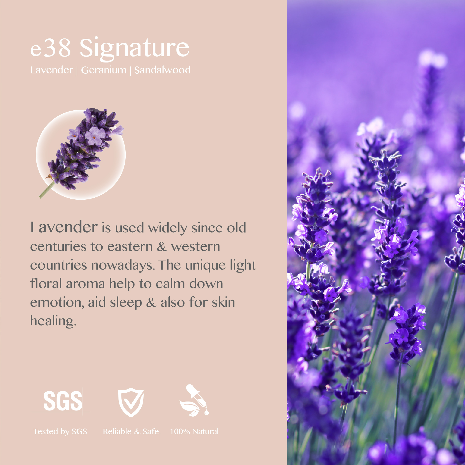 eBlend Signature — Inner Poise (10ml)