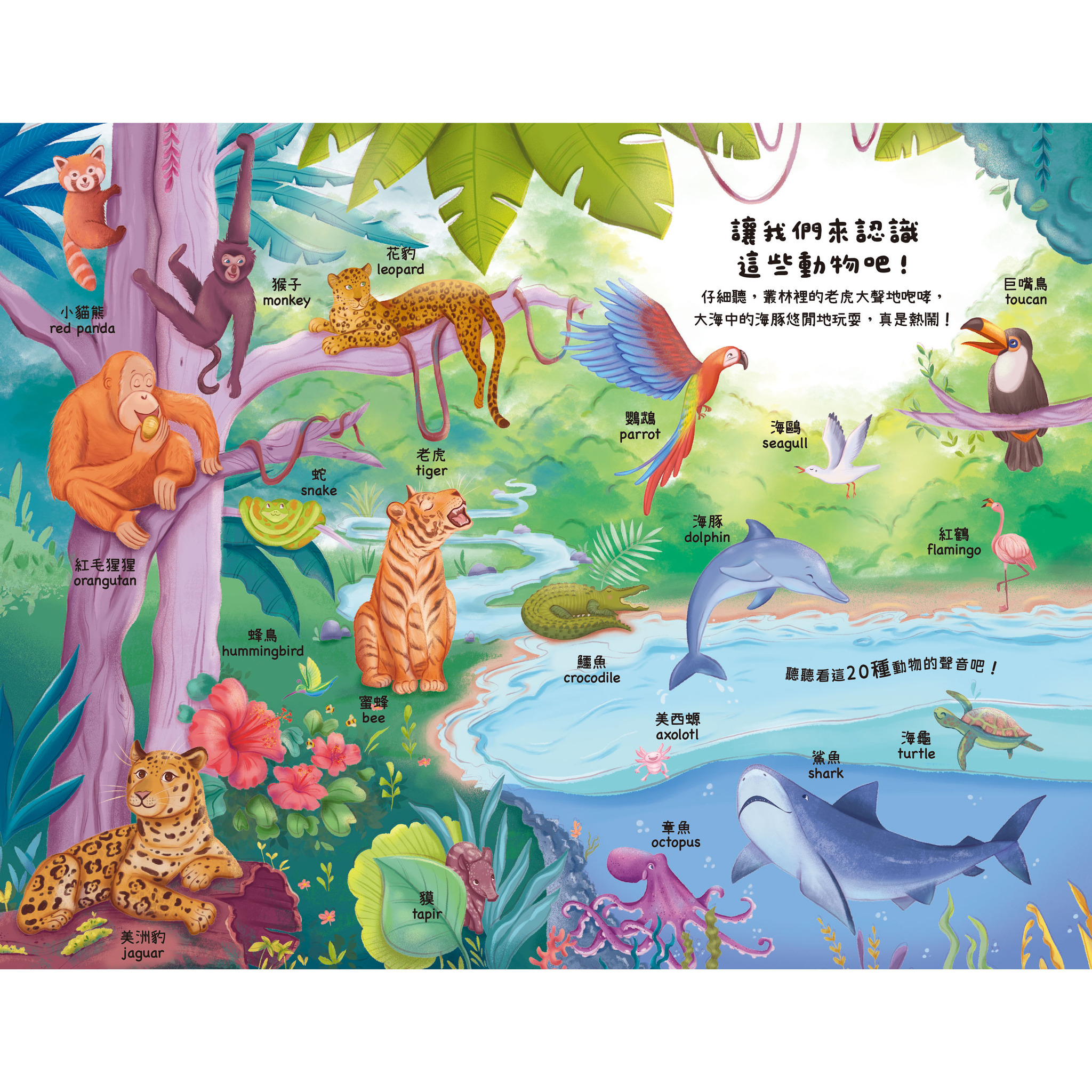 聽見100種聲音 我知道這些可愛的動物