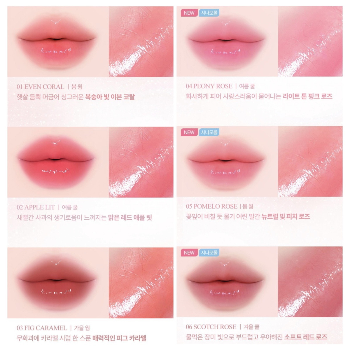  韓國 YNM X 玉貴狗 彩虹蜂蜜 蜂蜜光澤 潤唇膏 6色任選｜Glow Honey Lip Balm