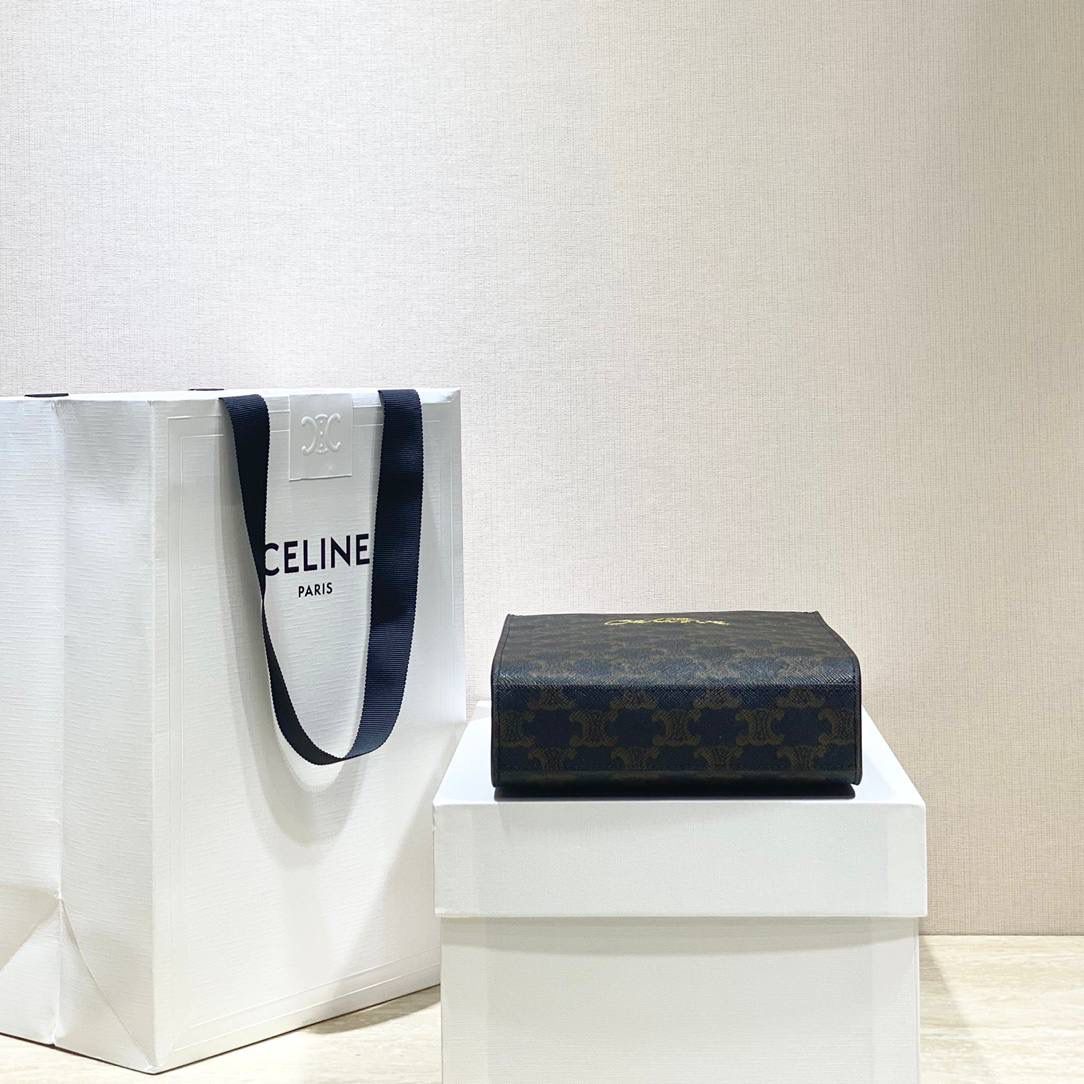 🔥大货实拍图 𝗖𝗘𝗟𝗜𝗡𝗘 ♥ 𝗧𝗥𝗜𝗢𝗠𝗣𝗛𝗘 𝗖𝗔𝗕𝗔𝗦 𝗧𝗢𝗧𝗘 𝙘𝙚𝙡𝙞𝙣𝙚的爱心𝙡𝙤𝙜𝙤也太会了吧！直接俘虏我！实在是太会抢钱了！托特包的天花板🥇 型号：194372 尺寸：17*21*4cm