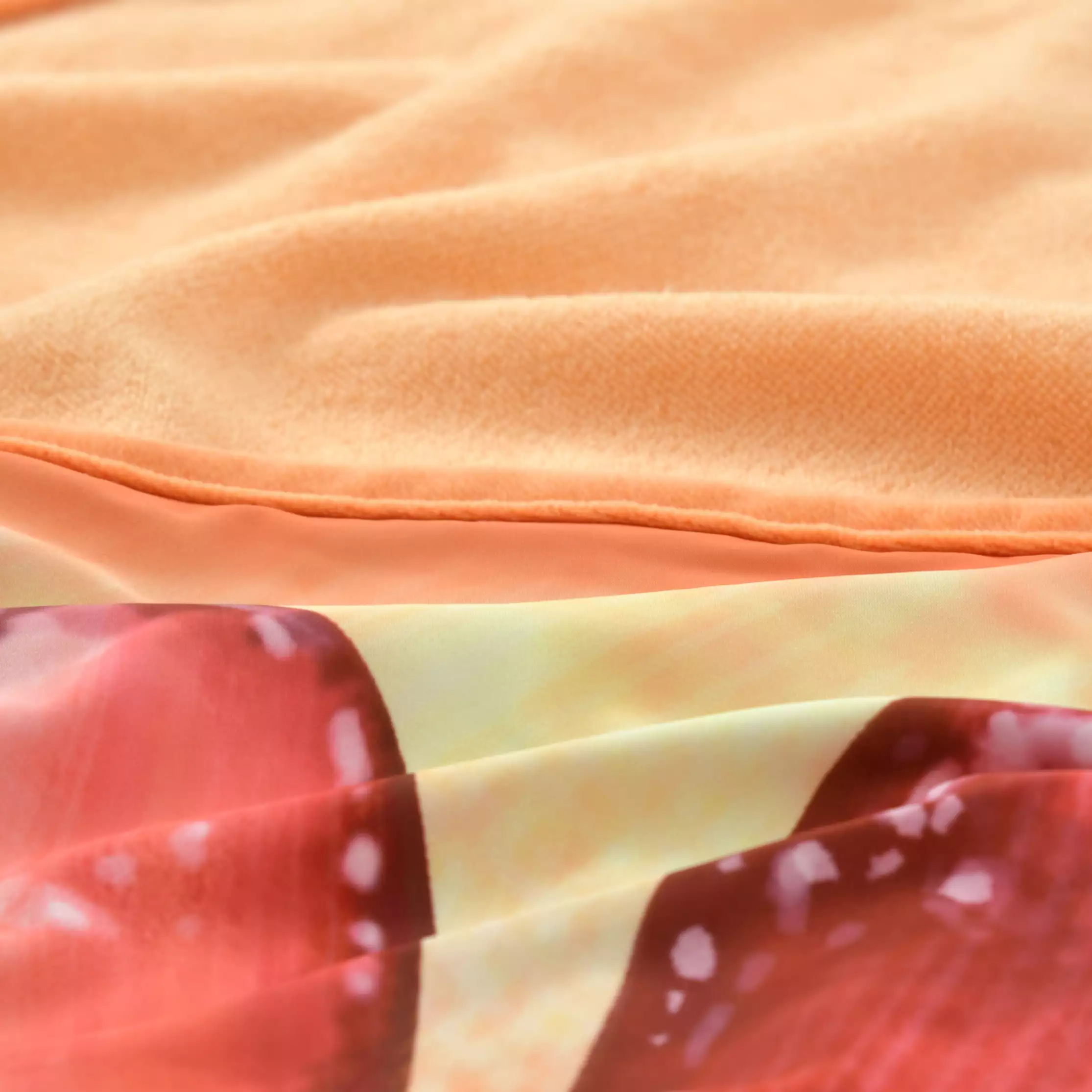 日本預訂📍日本迪士尼MICKEY'S BAKERY系列 - 雙面毛毯 不包郵 31/3日本開售 