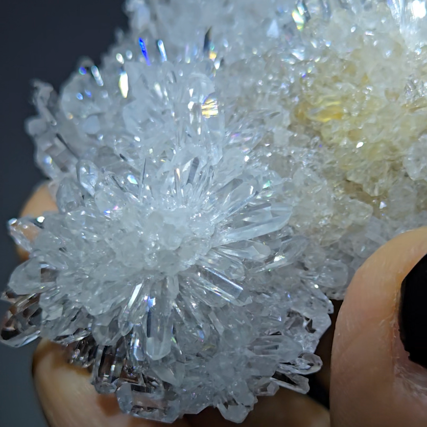 Chrysanthemum needle quartz with floral blooms - CQ486