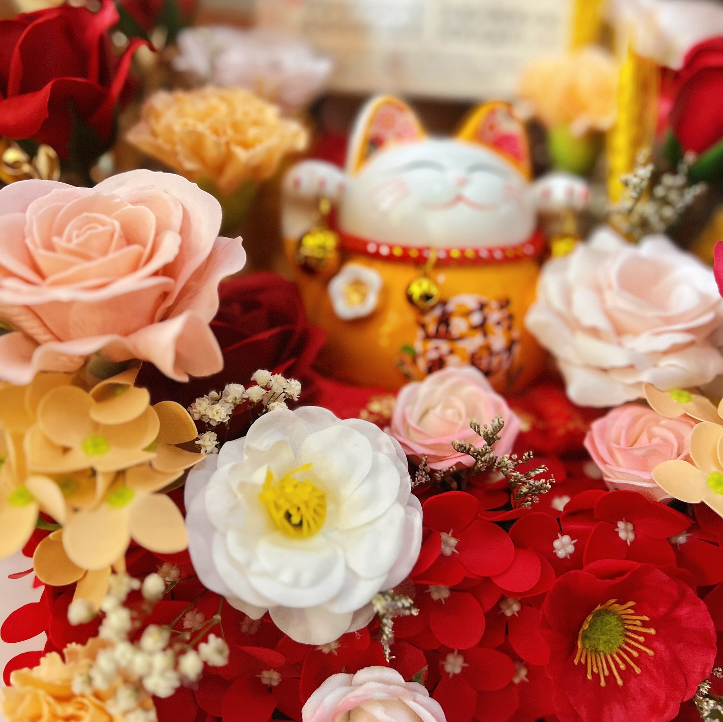 Opening Fortune Cat Box