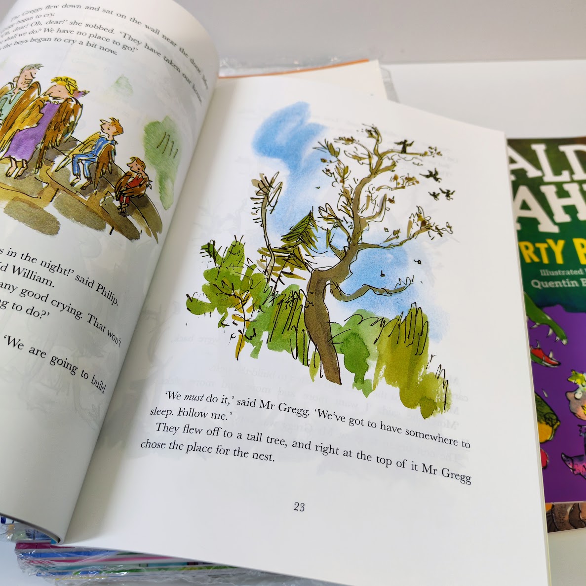 Roald Dahl 20 books  | A4 size  羅爾德達爾奇幻故事彩裝版大全套   B020