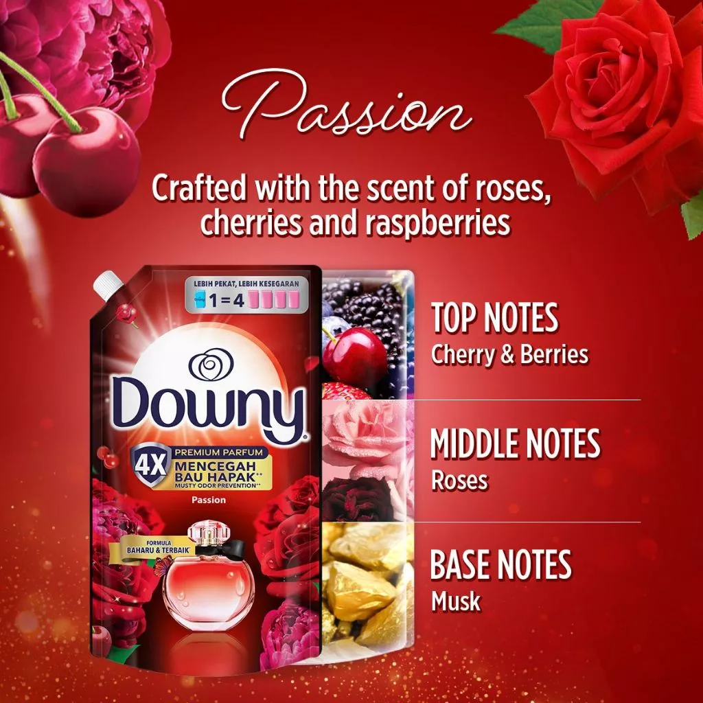 Downy Fabric Conditioner Refill Pack 530ML - PASSION