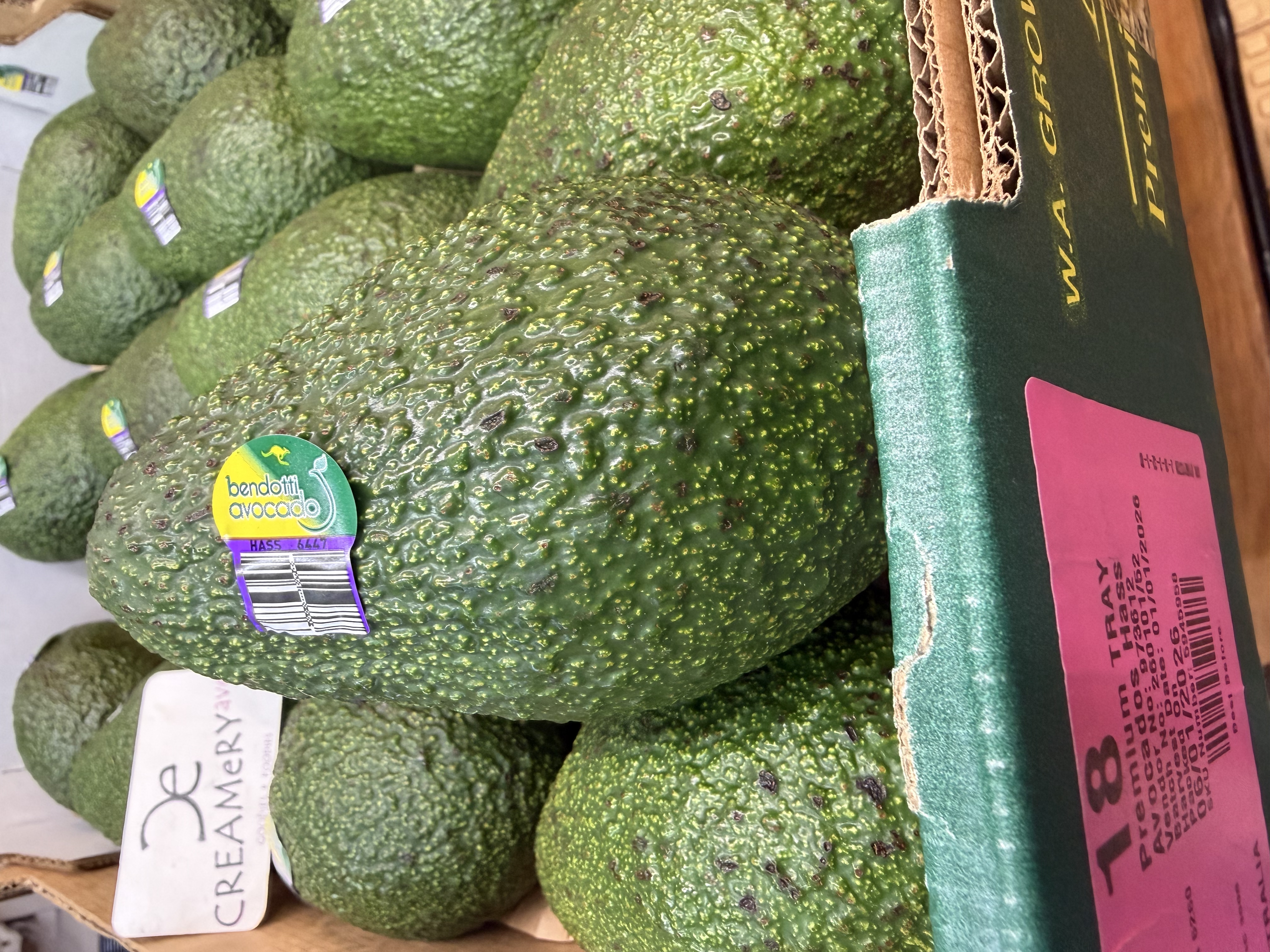 澳洲Hass 牛油果 Avocado 18裝 2個