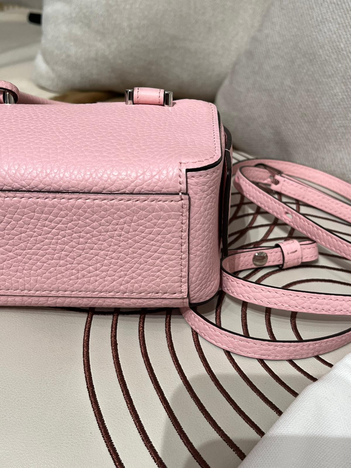 Delvaux cool box nano 牛皮銀扣，100%Authentic,99%new ✅Dust bag ✅ certificate