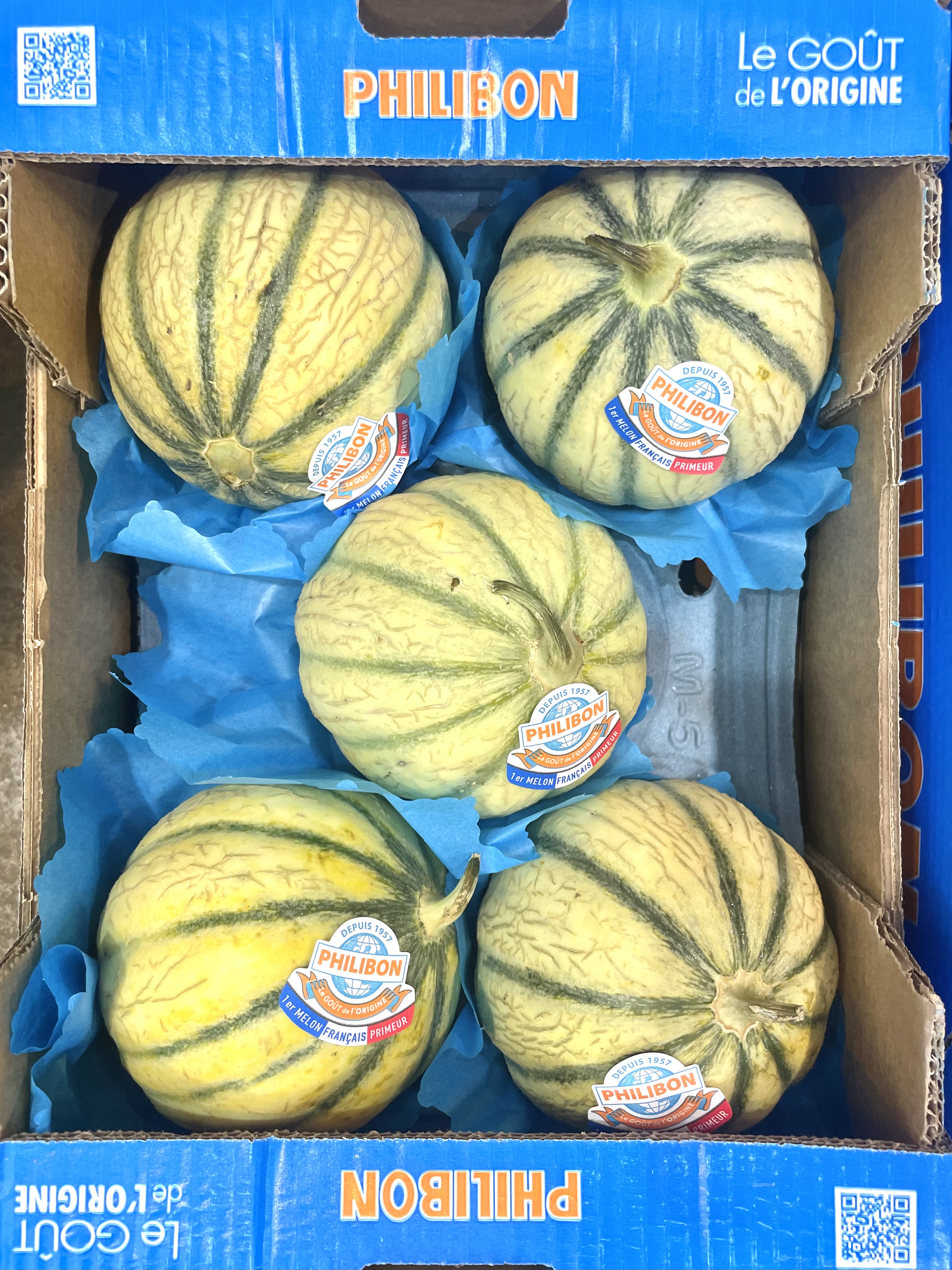 🍈法國名牌品種【 Philibon赤肉蜜瓜🍈 】