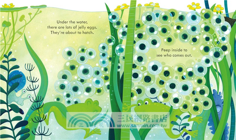 Peep Inside the Pond