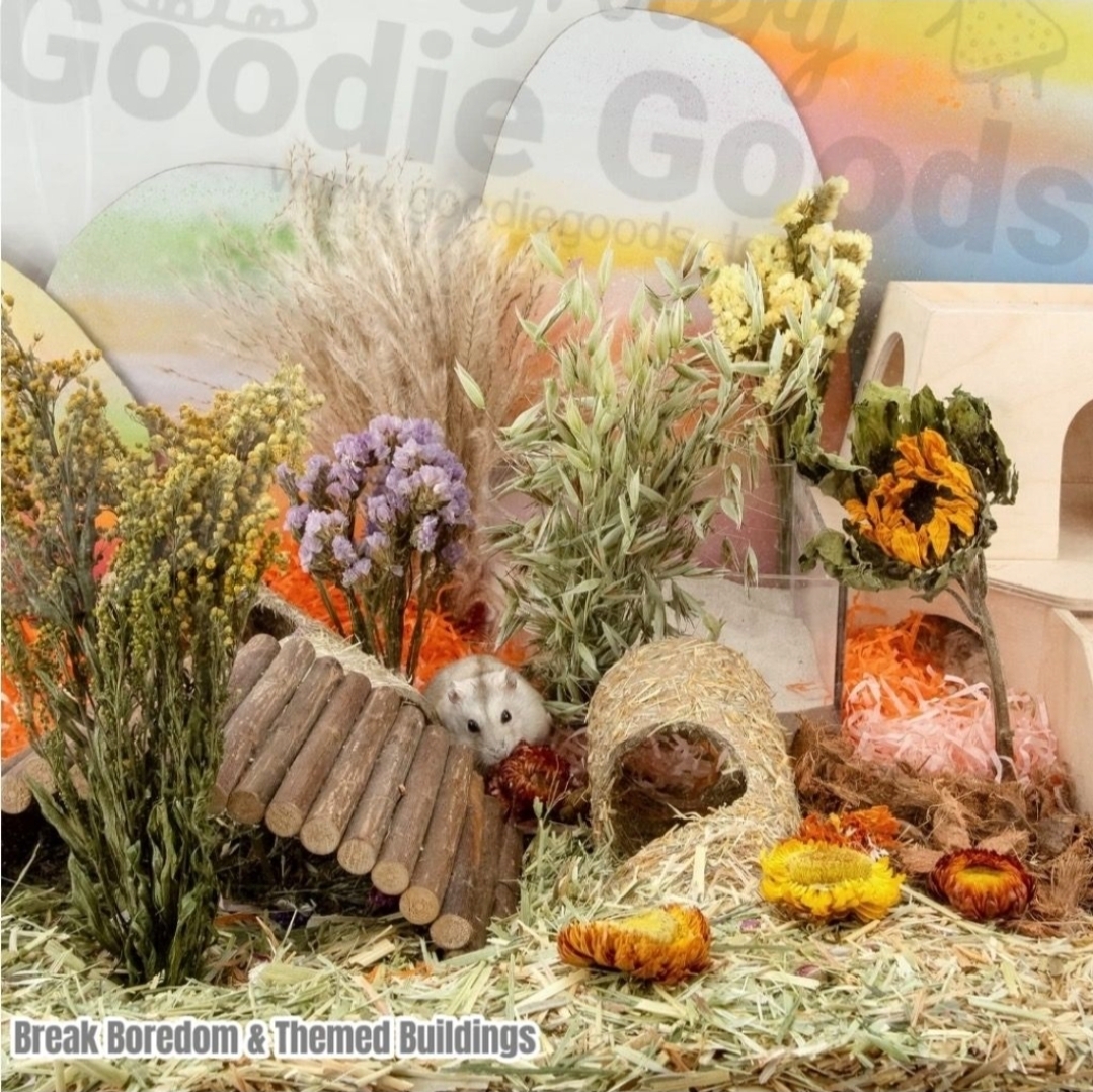 天然柔軟倉鼠寢具伴侶小動物棲息地裝飾適合敘利亞矮倉鼠沙鼠小鼠八齒鼠兔子或其他小型寵物