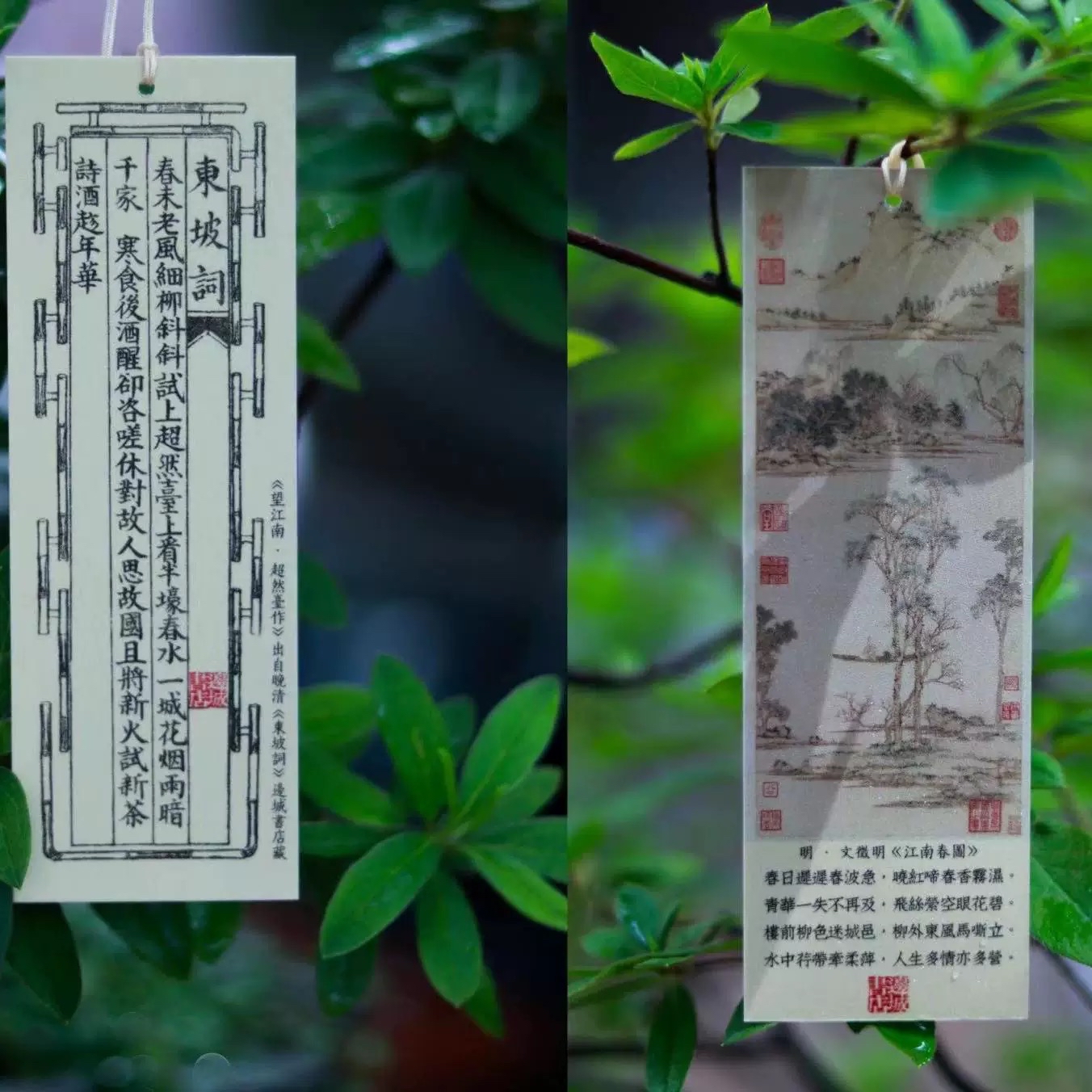 邊城書店 - 東坡詞書簽(一套6枚)