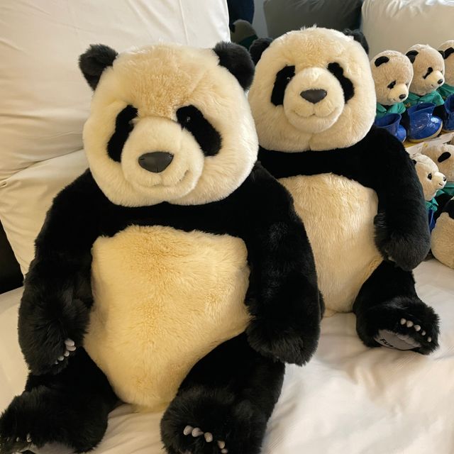 愛寶樂園 Everland 푸바오 Fubao 福寶 熊貓公仔 巨型大公仔🧸 (園內限定) | Pmmixmarket 雜嘜代購