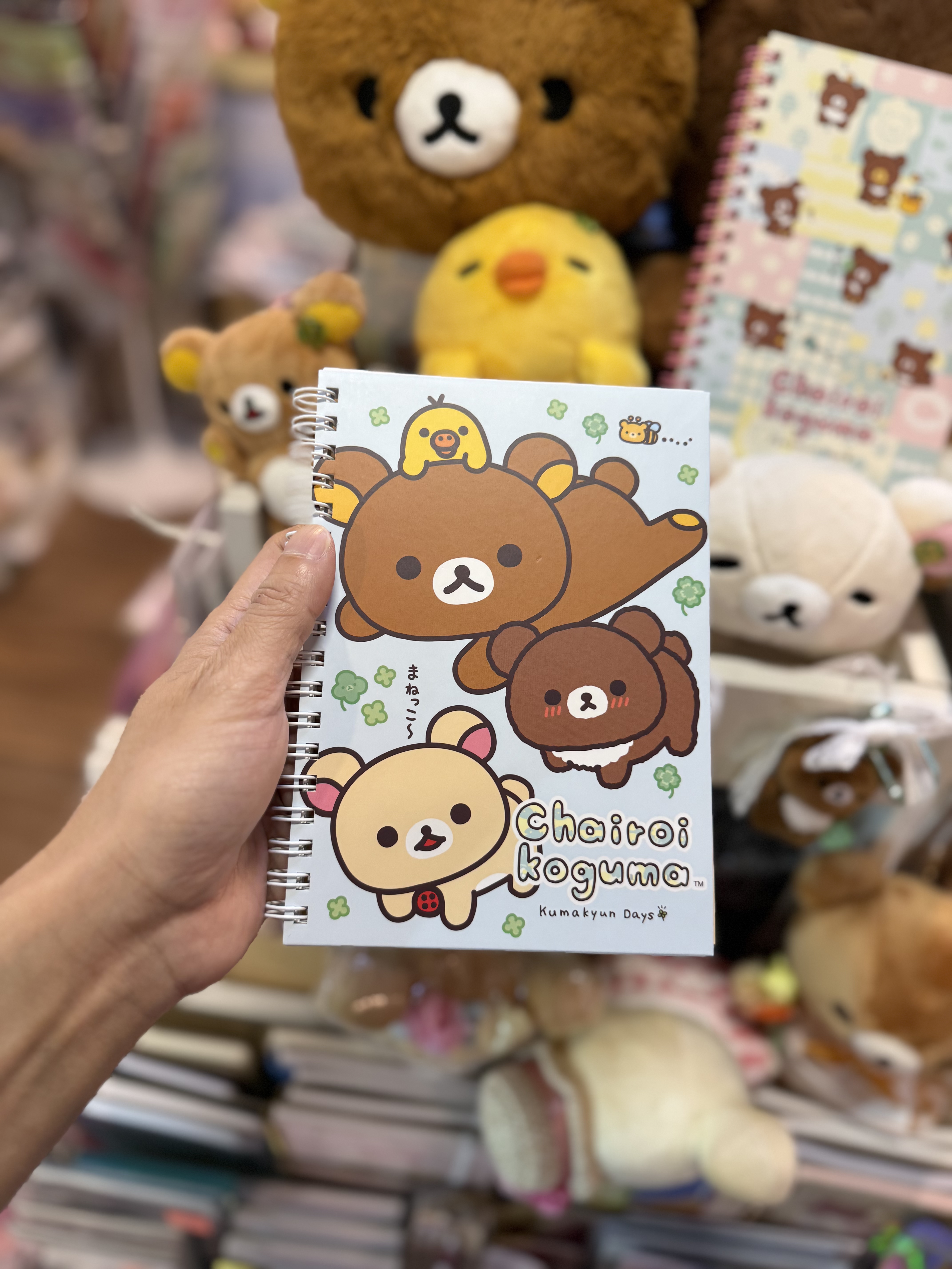 《現貨》全新小熊10週年紀念四葉草系列圈簿