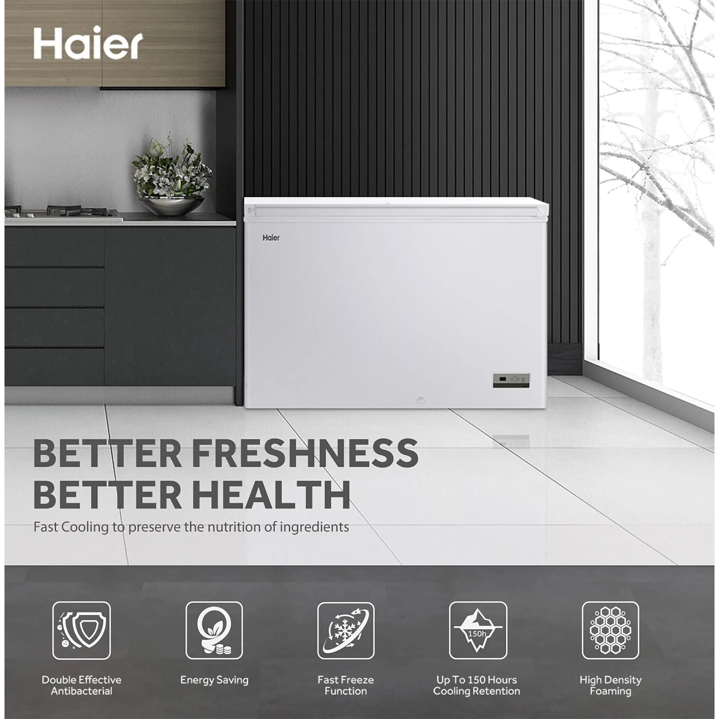 Haier 288L Chest Freezer (BD-288HEC)