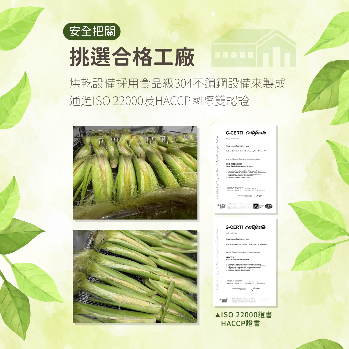 台灣愛米可緹 玉米筍 - 28g