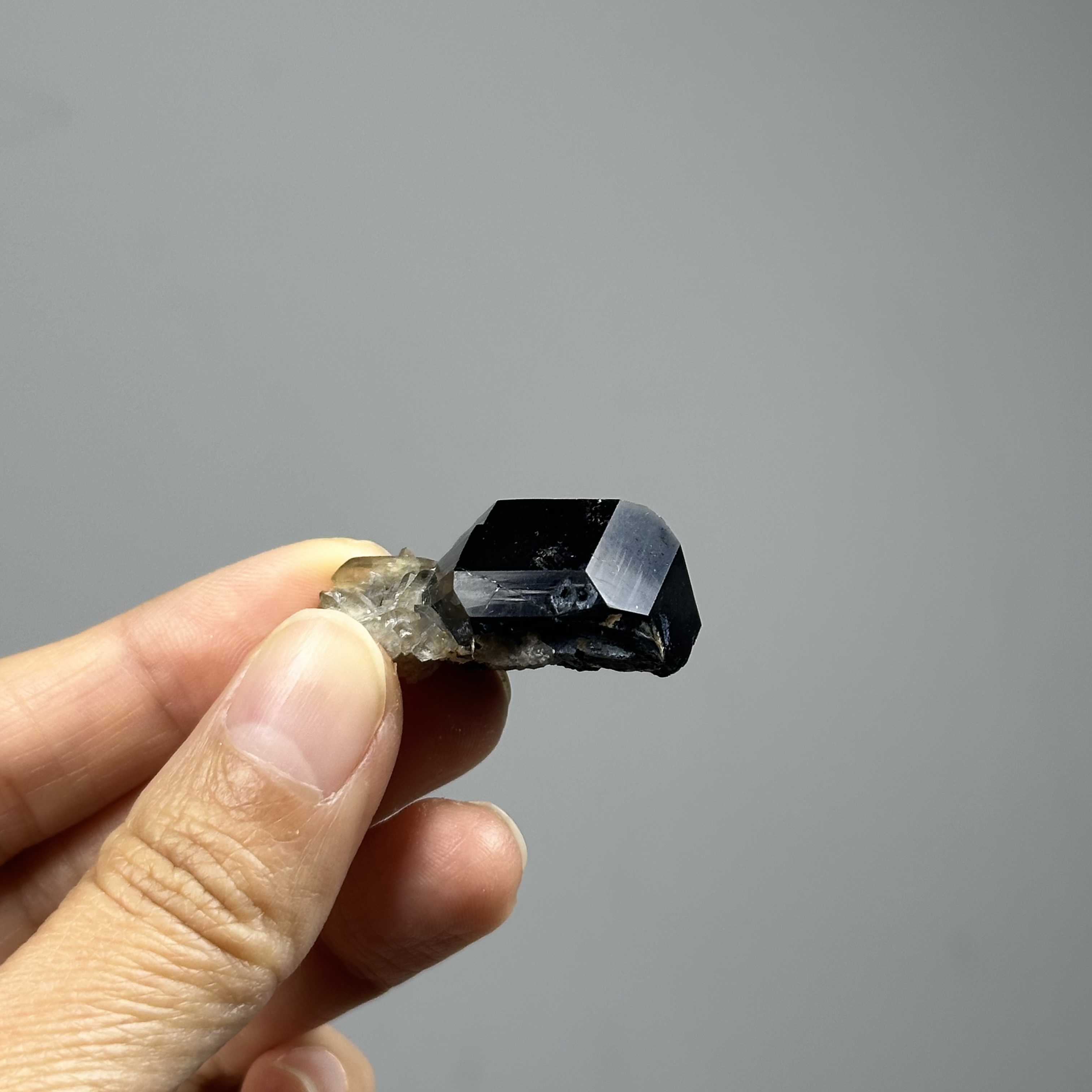 納米比亞 黑碧璽 - Schorl/ Black Tourmaline DR113