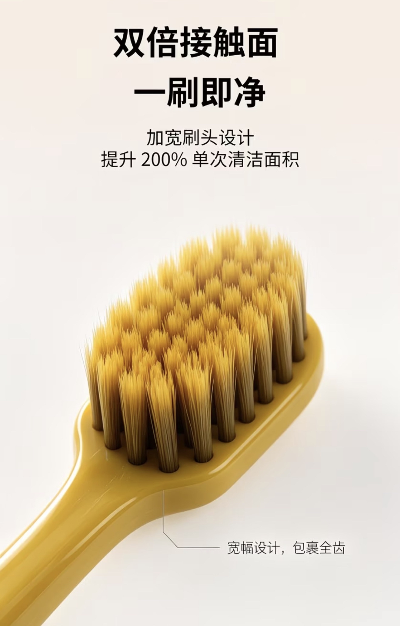 Wide Head Toothbrush