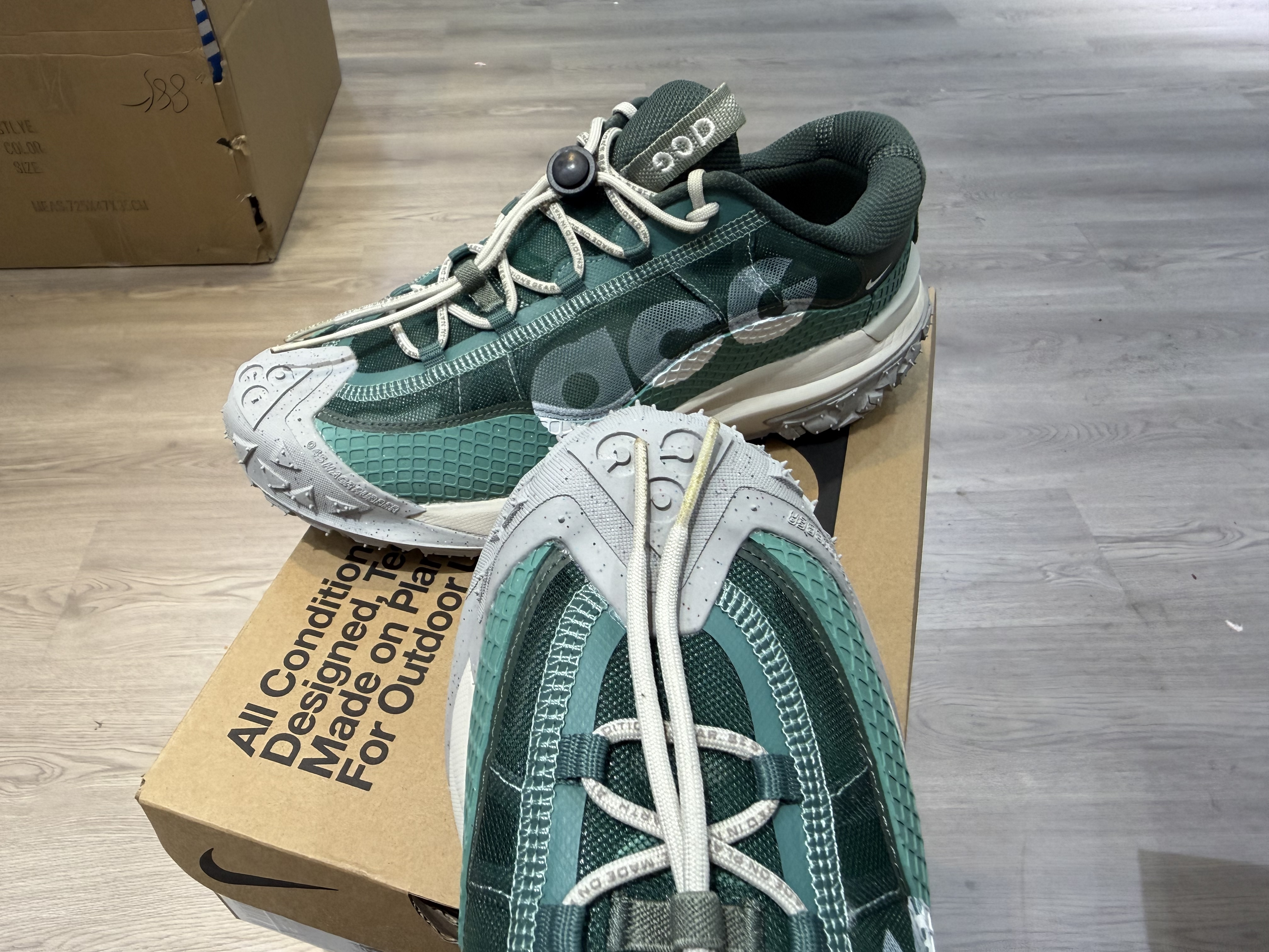 Nike ACG Mountain Fly 2 Low