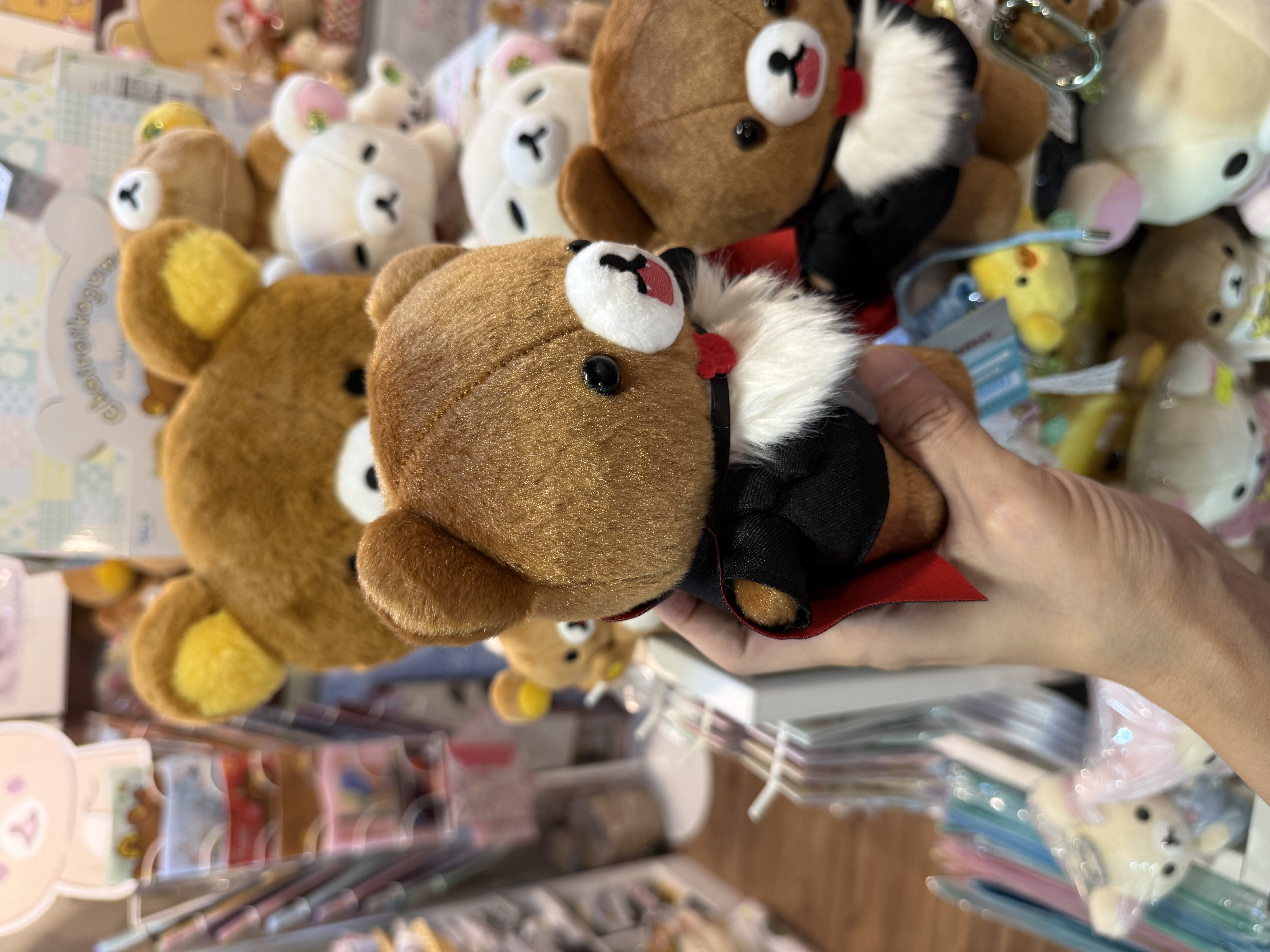 《現貨》全新日本Rilakkuma 動畫化紀念限定吸血疆屍造型小熊公仔