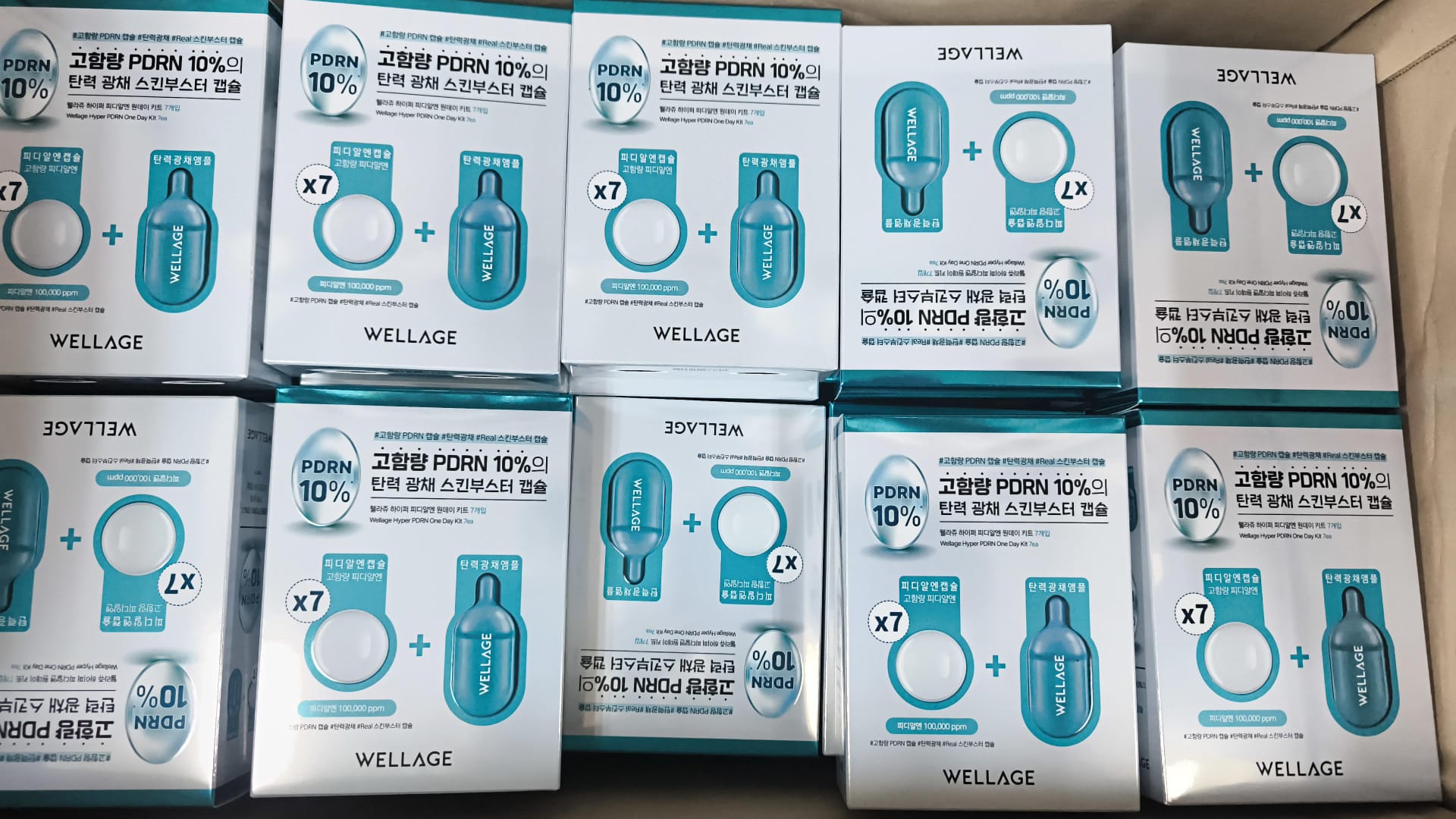 Wellage唯拉珠PDRN修復精華七日裝 (現貨品)