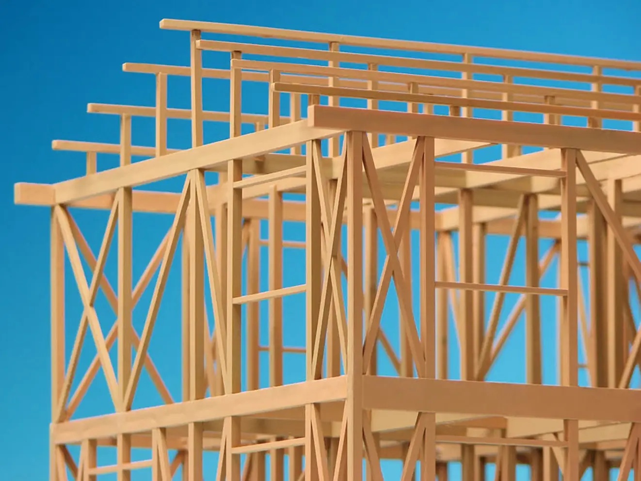 1/50 Wooden Frame Model Renewal Version