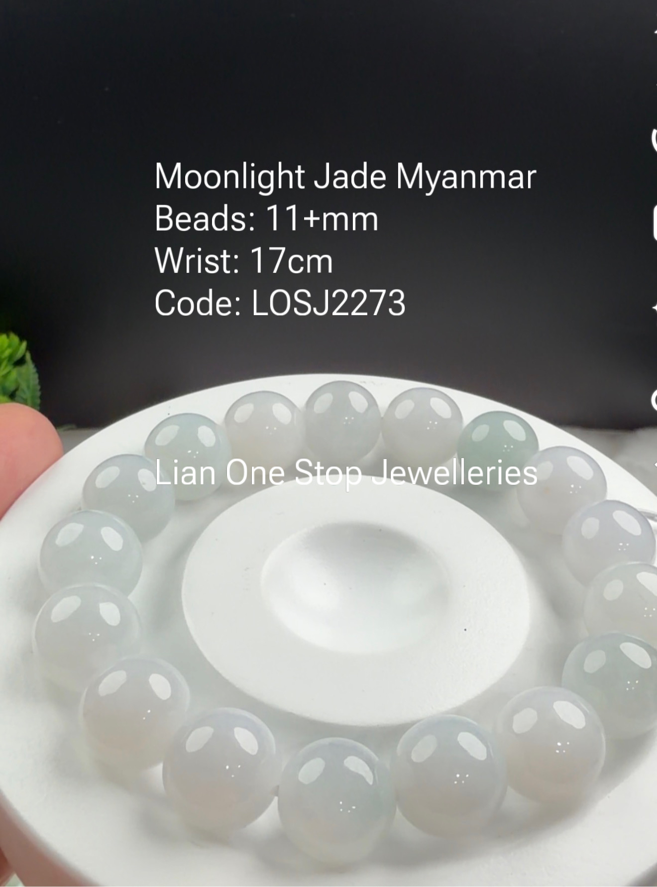 Code: LOSJ2273 Moonlight Jade Myanmar 11+mm