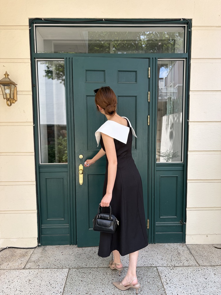Celine Contrast Collar Dress