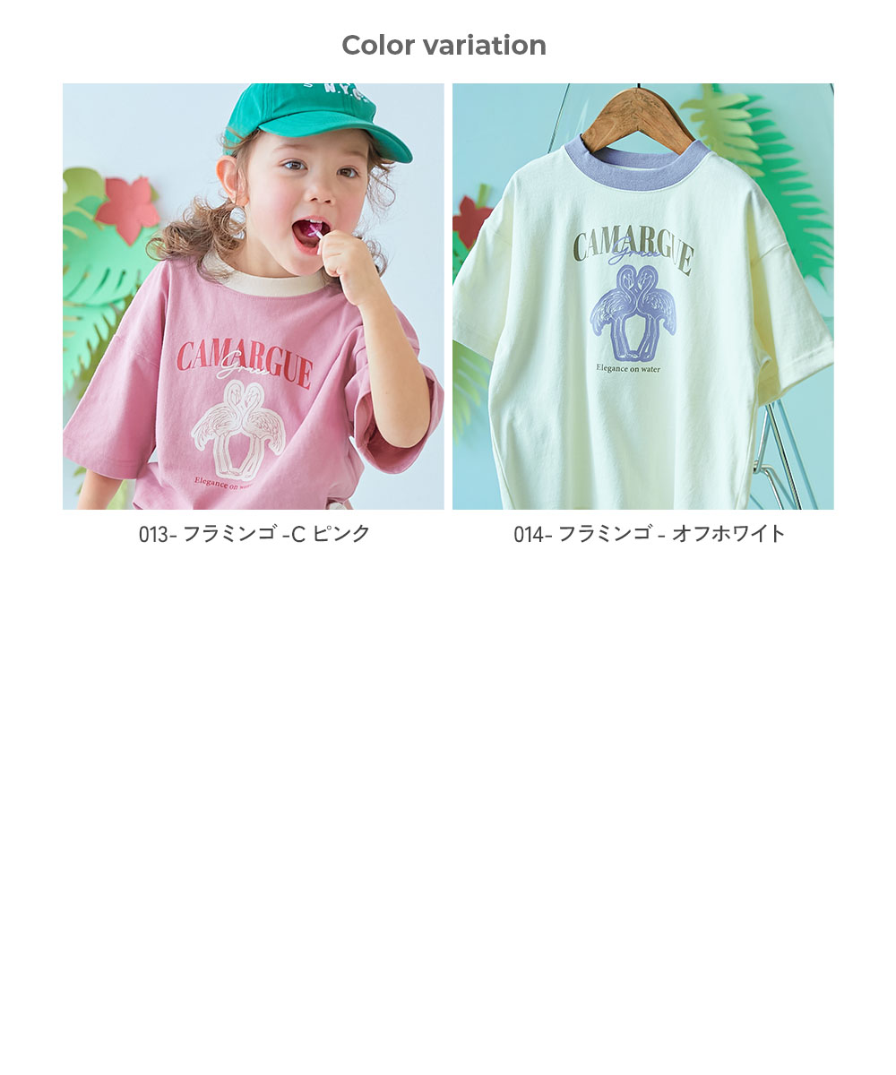 🆕【⭐訂購⭐】🌀 🇯🇵 日本直送🇯🇵 動物學院 大剪影印花 拼色領 短袖TEE［14款選］🌀[ELBA-0100][260311]