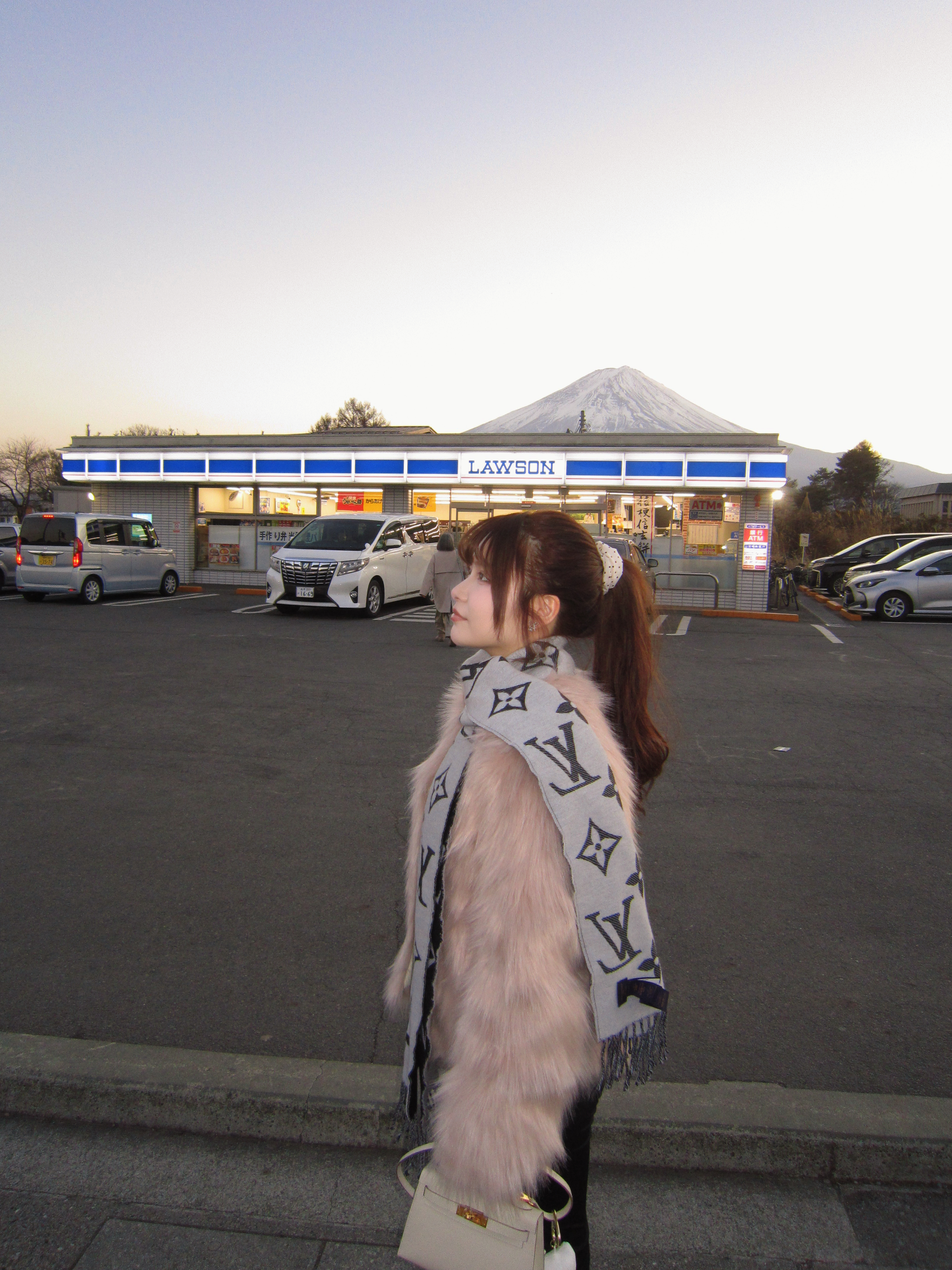 店主自留 韓國彷水貂毛皮草外套（高質量）