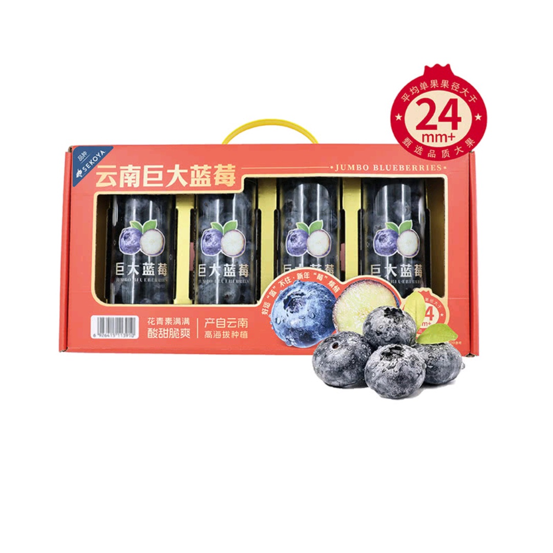 雲南巨大藍莓 800g