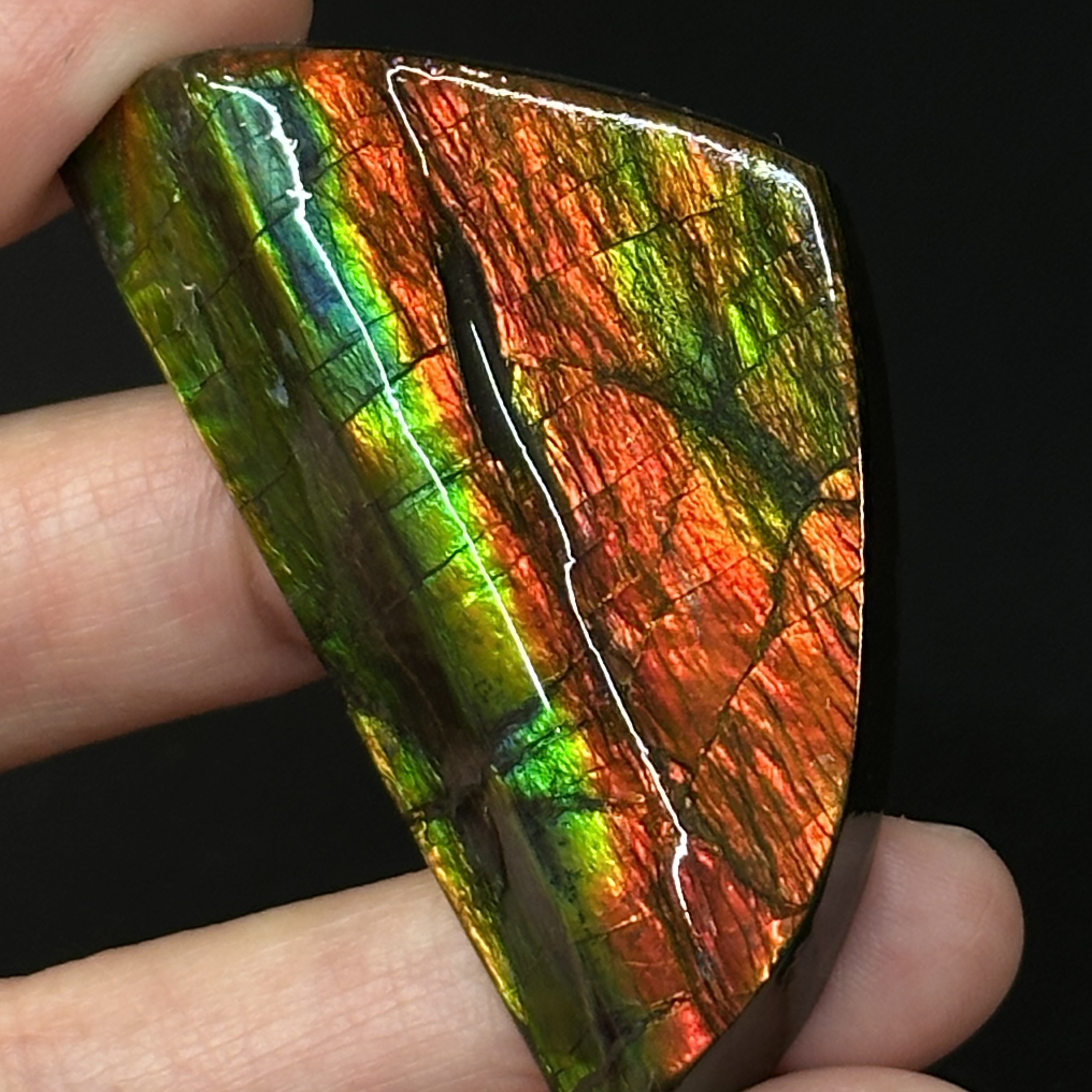 斑彩石 - Ammolite AM04