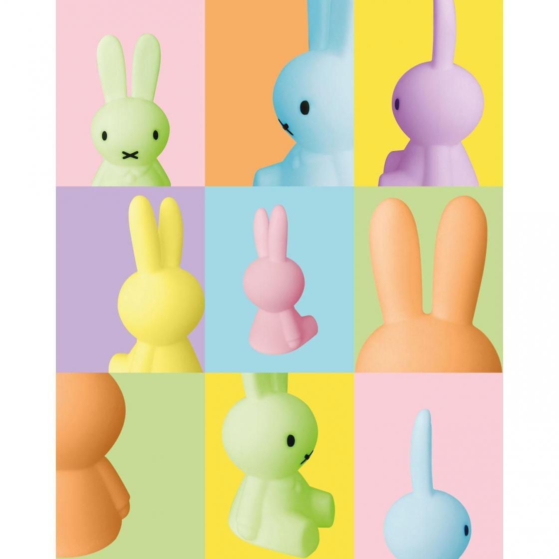 盲盒 不設選款 Bundle of Light Miffy Colourful Surprise